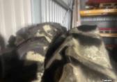 Firestone 20.8R38 hoge nok ploeg banden 90%profiel