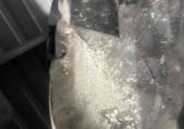 Firestone 20.8R38 hoge nok ploeg banden 90%profiel